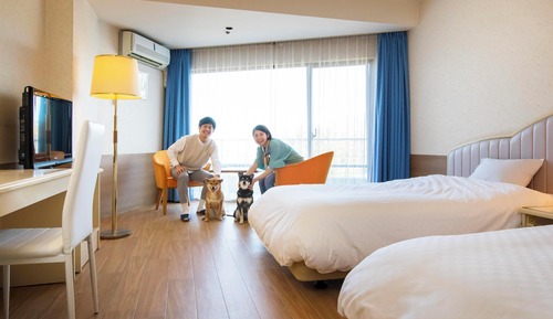 Habitación estándar con 2 camas individuales, no fumadores