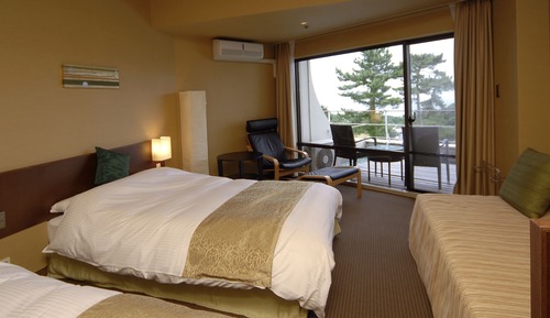 Habitación estándar con 2 camas individuales, no fumadores (Standard Twin Room With Terrace)