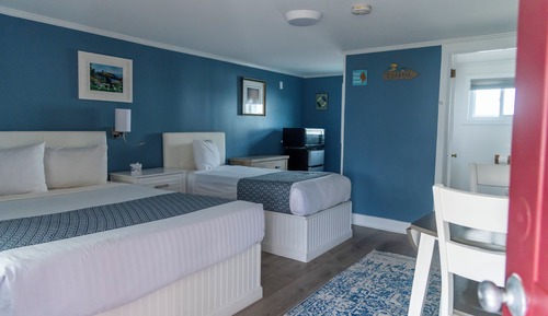 Habitación estándar, varias camas (No pets allowed)