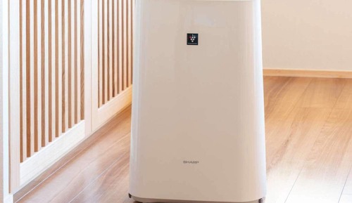 Habitación con 2 camas individuales, no fumadores (Renewal, Japanese-Style, Hollywood)