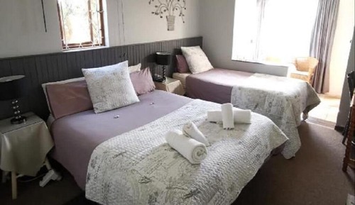 Robin 2 Twin Single Room 