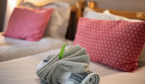 Habitación estándar con 2 camas individuales