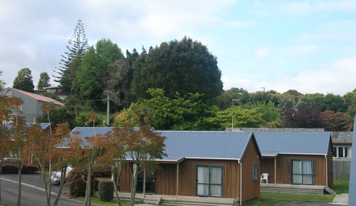 Chalet ( 1 Queen Bed and 3 Single Beds )