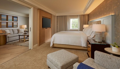 Suite Deluxe, 1 habitación