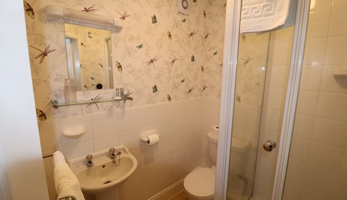 Habitación familiar (Sleep 5)