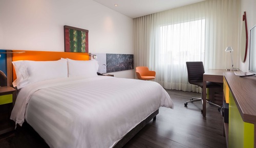 Room, 1 Queen Bed, Accessible with Rolling Shower