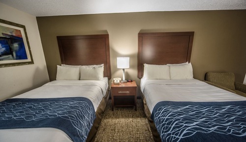 Habitación estándar, 2 camas dobles