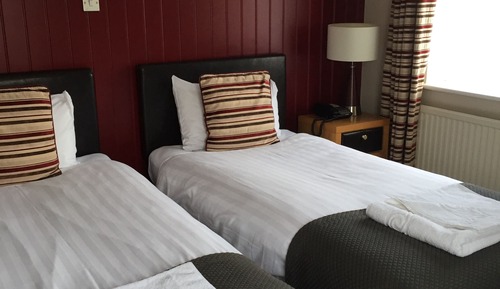 Habitación estándar con 2 camas individuales