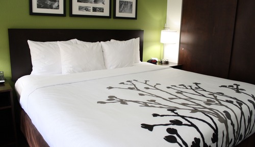 Habitación estándar, 1 cama de matrimonio grande, no fumadores