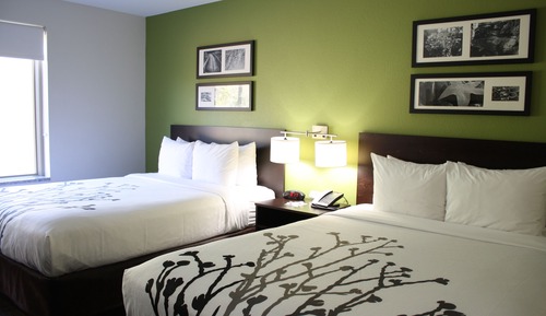 Habitación estándar, 2 camas de matrimonio, no fumadores