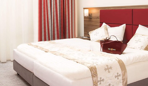 Habitación Deluxe con 1 cama doble o 2 individuales