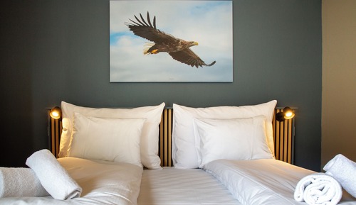 Habitación Deluxe doble