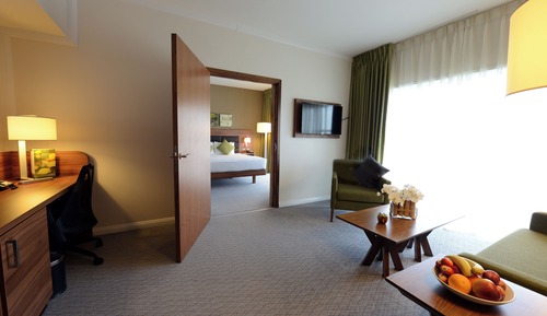 King, Suite, 1 habitación