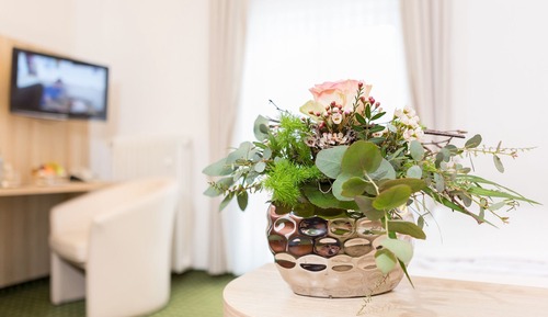 Habitación individual Confort