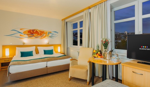 Habitación estándar con 1 cama doble o 2 individuales