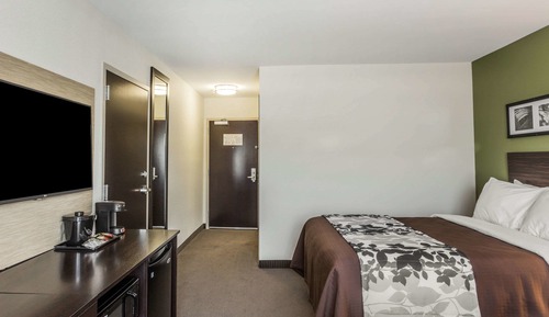 Habitación estándar, 2 camas de matrimonio, no fumadores