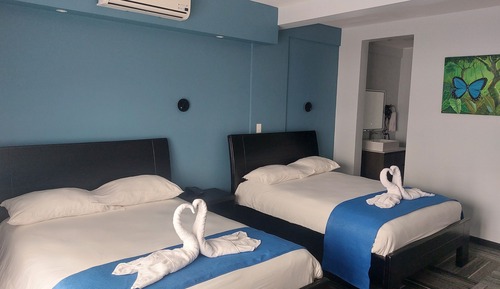 Habitación familiar doble, 2 camas dobles, baño privado