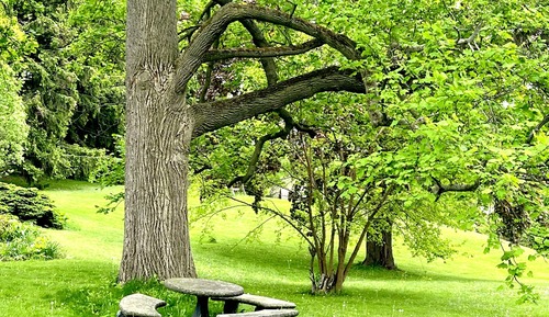 Suite de lujo, 2 habitaciones, bañera de hidromasaje, vistas al jardín