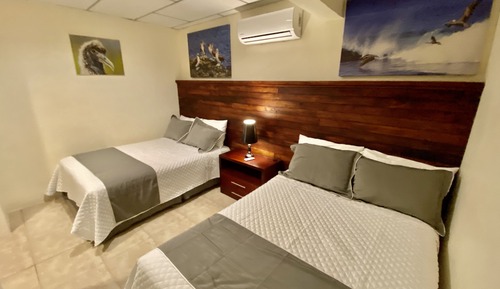 Dúplex familiar, 2 habitaciones, baño privado, vistas al jardín (Courtyard )