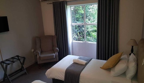 Habitación estándar con 2 camas individuales