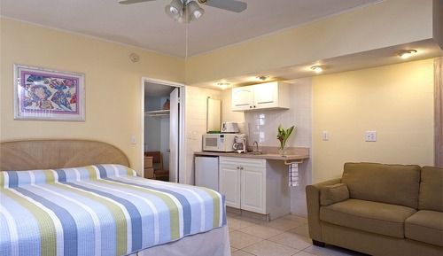 Habitación estándar, 1 cama de matrimonio grande con sofá cama, no fumadores, baño privado