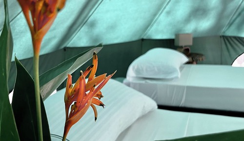 Tienda superior, 1 cama doble