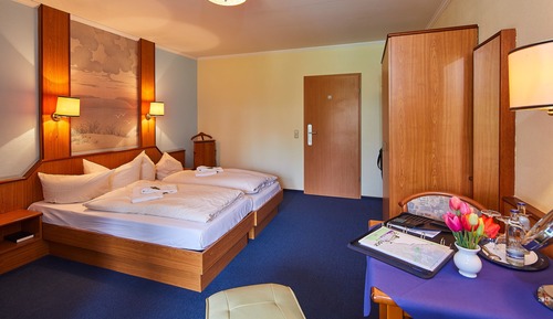 Habitación clásica con 1 cama doble o 2 individuales, 1 habitación, frigorífico