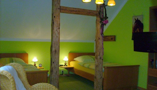 Habitación Confort con 2 camas individuales