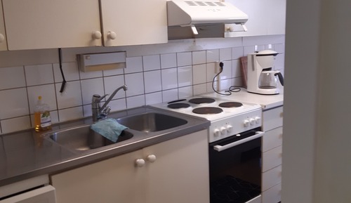 Apartamento Confort, 1 habitación, no fumadores, cocina (3)