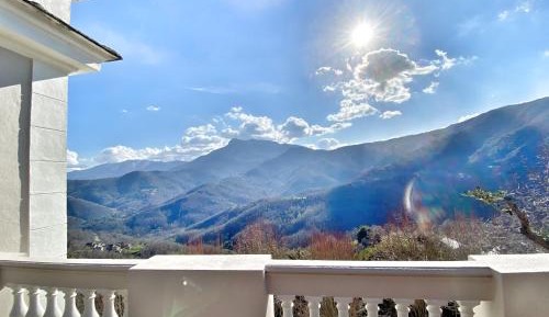 Double Room with Terrace