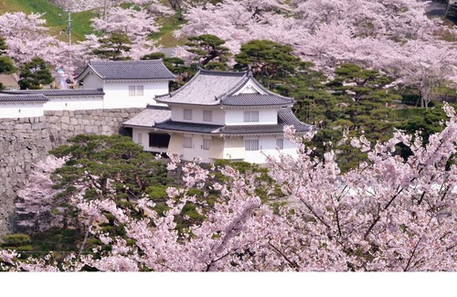 Nihommatsu Casa | Standard room only plan double room / Nihonmatsu Fukushima