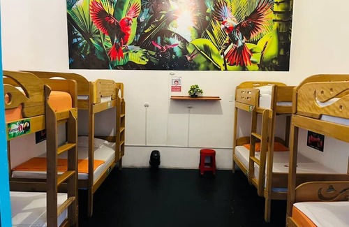 Iquitos Cama Y Desayuno | AT Amazon Backpacker