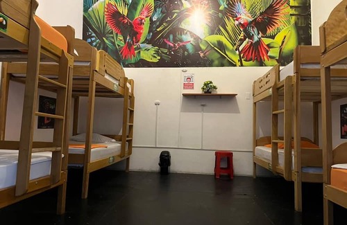 Iquitos Cama Y Desayuno | AT Amazon Backpacker