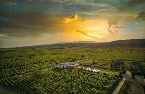 Merei Cabaña | Shurra