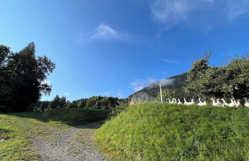 Hohenthurn Casa | Fair-priced and compact rooms overlooking Dobratsch (10 mins to Dreiländereck)