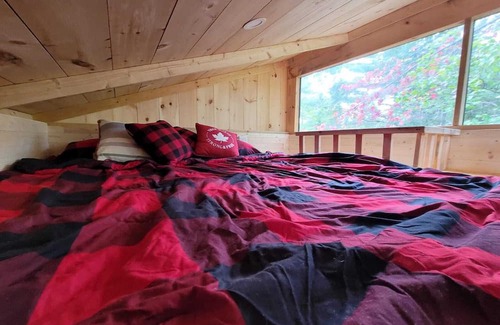 Tay Valley Cabina | Enchanting Tiny Cabin in the Woods!