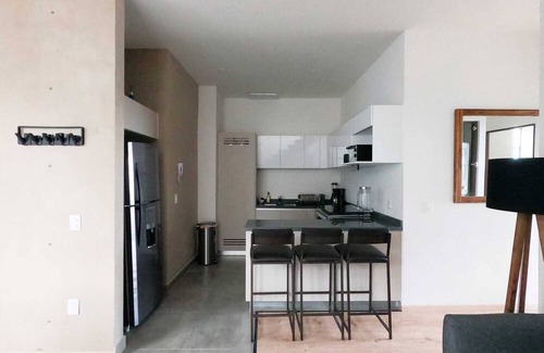 Querétaro Apartamento | Penthouse Con Roofgarden En La Vista