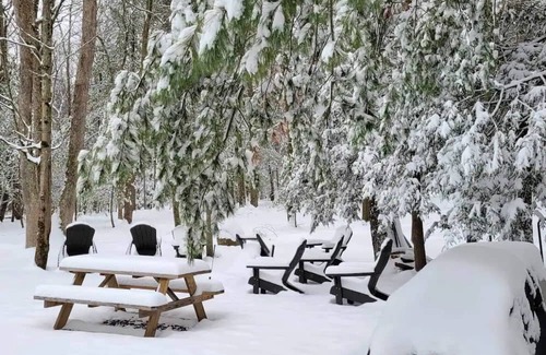 Stroudsburg Cabina | Pickle-ball & Volleyball Courts, In Ground Heated Pool, Central but Secluded