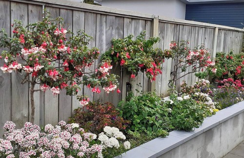 Whanganui Cama Y Desayuno | City Haven, peaceful Bnb twin room close to the city