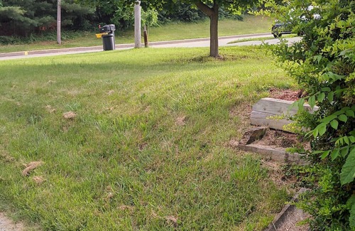 Westminster Casa | Cozy place not too far from town and local stores