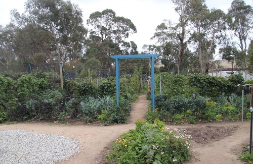 Metcalfe Casa | Unwind in a cosy bungalow in the midst of our organic permaculture mini-farm.