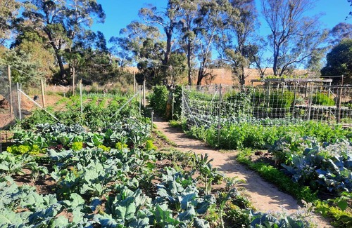 Metcalfe Casa | Unwind in a cosy bungalow in the midst of our organic permaculture mini-farm.