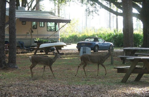 Sebring Cabaña | Cozy Cottage Brand New Sebring 2 Bed/1 Bath Special -1195 Monthly