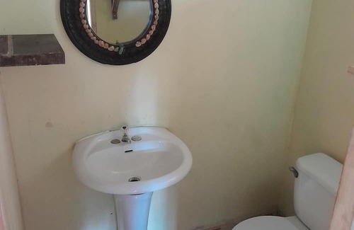 Veracruz Casa | Orange Little Bird, for a single person or a couple.