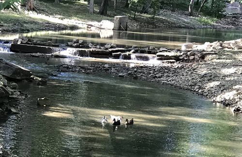 Marble Falls Alquiler De RV | Camping By Mill Creek