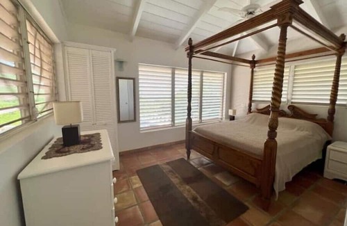 Old Towne Casa | Bananaquit at the beach!