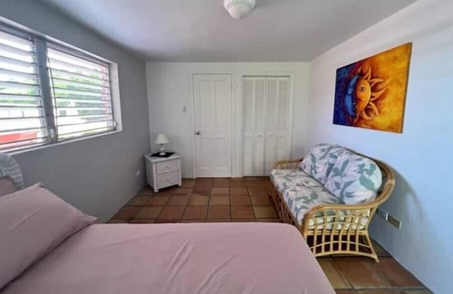 Old Towne Casa | Bananaquit at the beach!