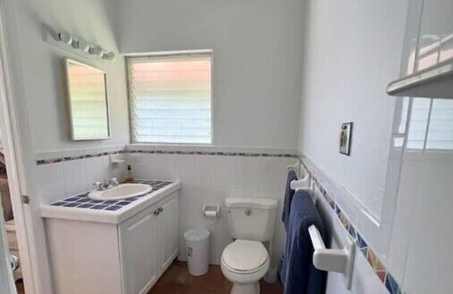 Old Towne Casa | Bananaquit at the beach!