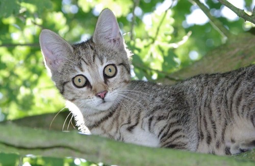 Amt Neuhaus Apartamento | Landpension Bohnenburg