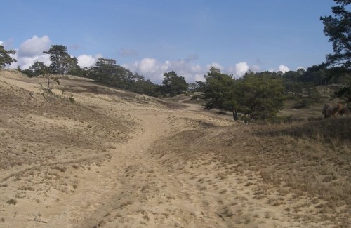 Amt Neuhaus Apartamento | Landpension Bohnenburg